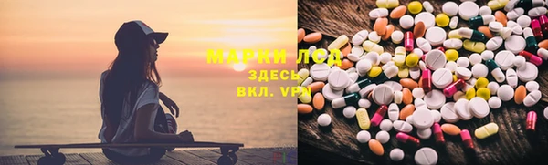 прущие грибы Аркадак