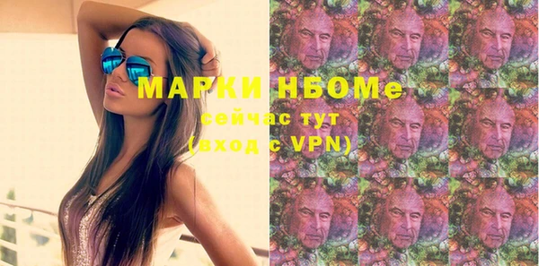 прущие грибы Аркадак