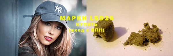 прущие грибы Аркадак