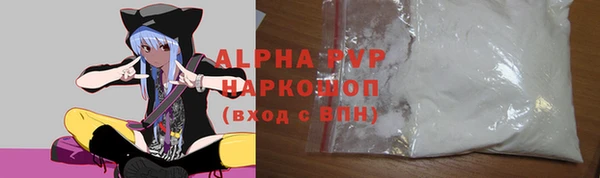 прущие грибы Аркадак