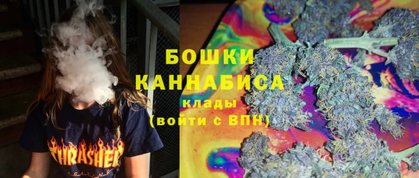 прущие грибы Аркадак