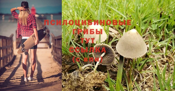 бошки Арсеньев