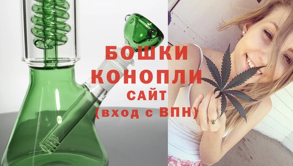 прущие грибы Аркадак
