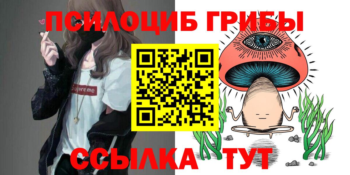 Куйбышев  Псилоцибиновые грибы мицелий  Вход с VPN  Псилоцибиновые грибы прущие грибы 